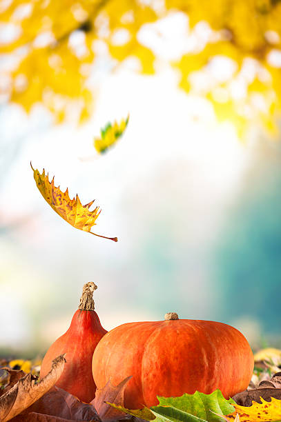 秋の背景に落ちるリーブズとカボチャ - leaves changing ストックフォトと画像