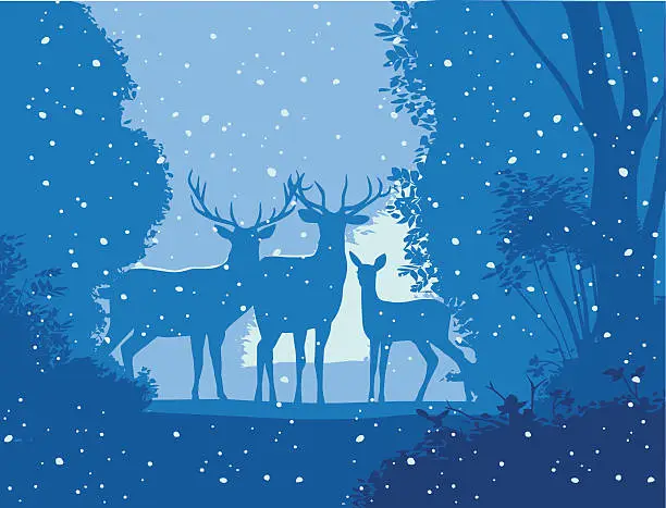 Vector illustration of Wild Deer in winter countryside