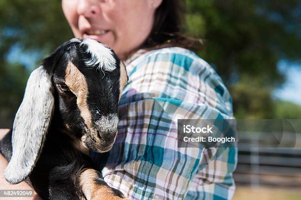 Cute Baby Goat In Farmers Arms Stock Photo - Download Image Now - Goat, Holding, One Woman Only