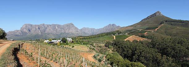 istock Tokara Restaurant at Stellenbosch 482492061