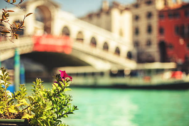 Ponte of rialto on Venice