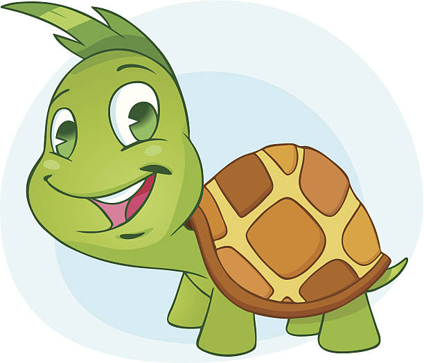 846 Turtles Face Illustrations & Clip Art - iStock