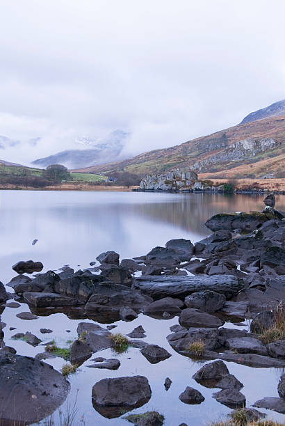 istock Snowdonia, Wales, UK 482497855