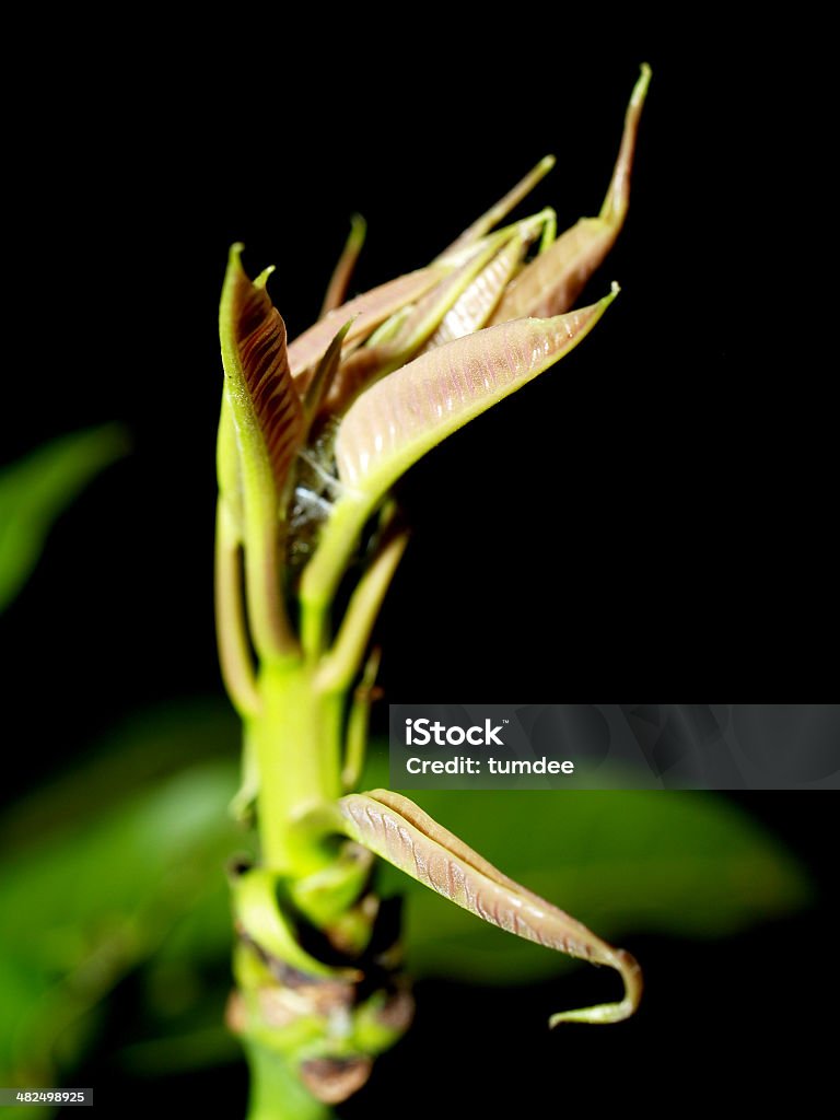 leaf background Artificial Stock Photo