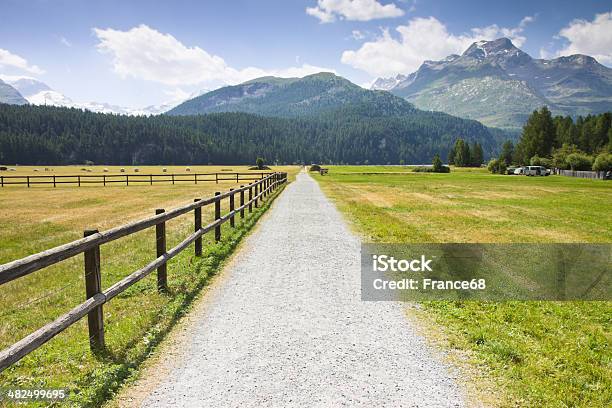 Strada Percorso Nella Valle Engadina - Fotografie stock e altre immagini di Alpi - Alpi, Alpi Retiche, Aspirazione