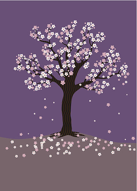 Cherry Blossom Tree on a purple background Vector illustration of a Cherry Blossom tree  created in Adobe Illustrator CS6 with detailed pink and white flowers. Background, tree and blossoms on separate layers for easy editing. Made with flat RGB colors with no transparencies, effects, blends and gradients used. dogwood trees stock illustrations