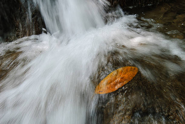 water cascades on a mountain river with fallen autumn leaves