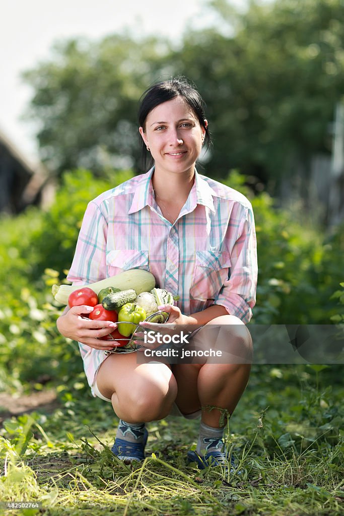 harvested vegetables girl holding a basket of harvested vegetables in garden 2015 Stock Photo