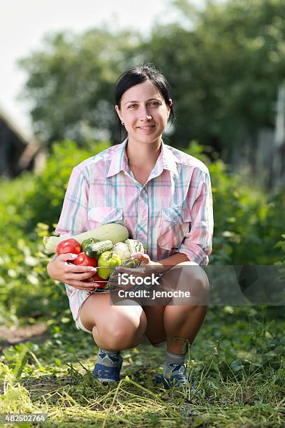 Harvested Vegetables Stock Photo - Download Image Now - 2015, Adult, Adults Only