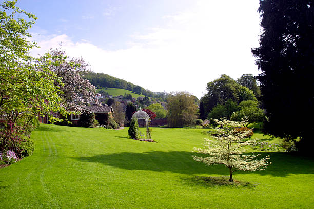 istock Large neat lawned garden 482503857