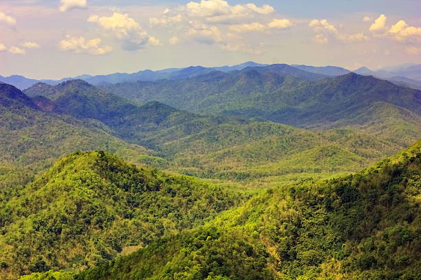 istock Aerial view of forest and mountain 482504246