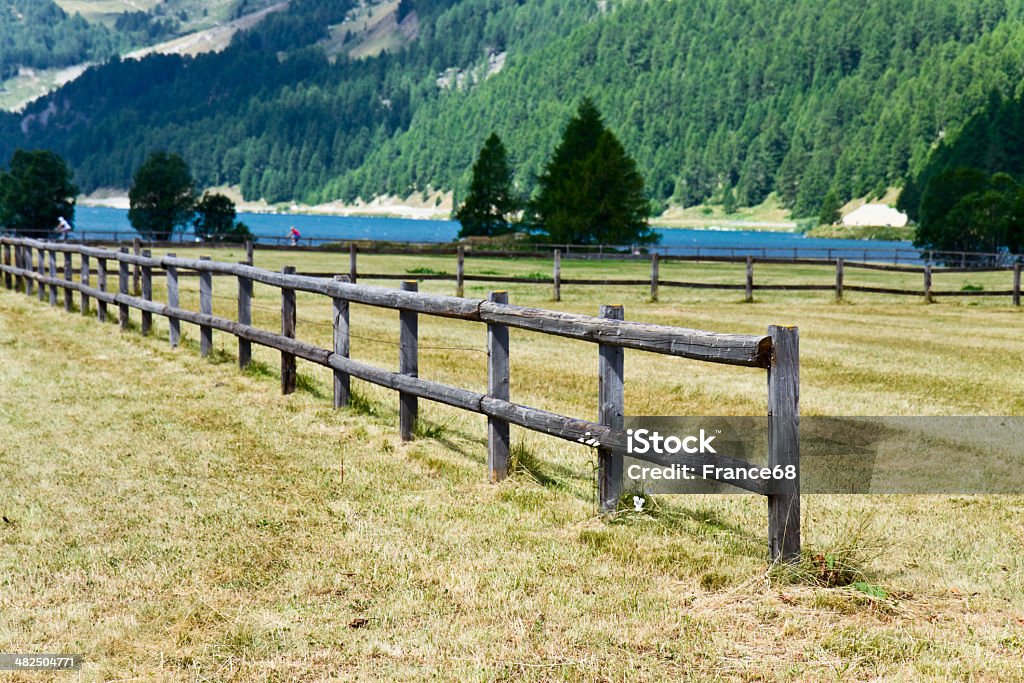 木製のフェンスでエンガディ�ン渓谷 - あこがれのロイヤリティフリーストックフォト