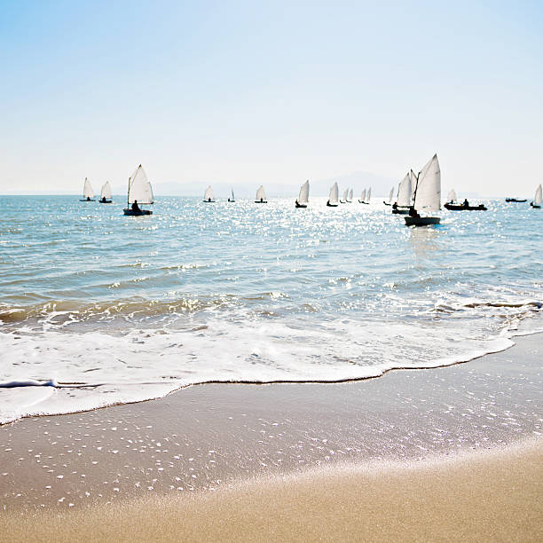 Group of sailboats at sea
