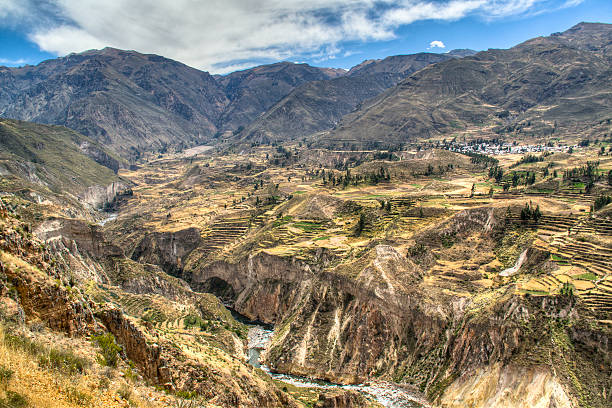 istock Terraces at the Colca Canyon 482507049