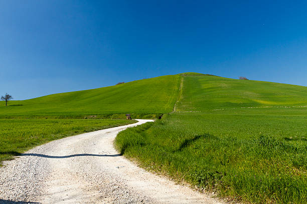 istock lawn in Italy, Tuscany 482507775