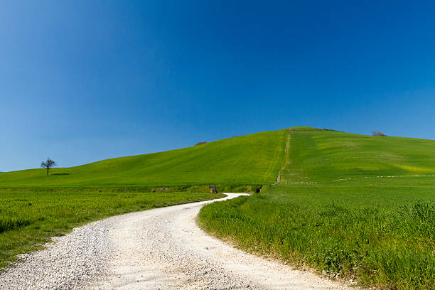 istock lawn in Italy, Tuscany 482508071
