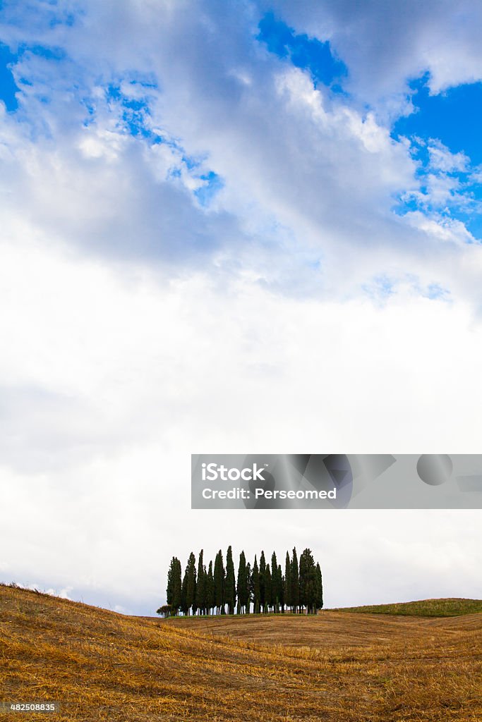 Tuscany before the storm San Quirico, d'Orcia, Tuscany. A group of cypresses just before the storm arrival Environment Stock Photo