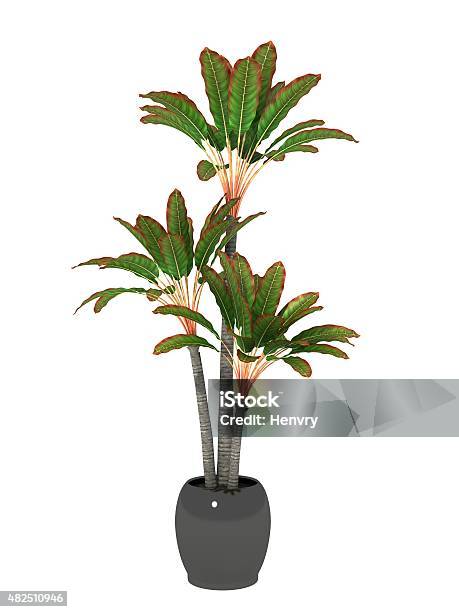 Potted Plant Stock Photo - Download Image Now - 2015, Appliance, Cut Out