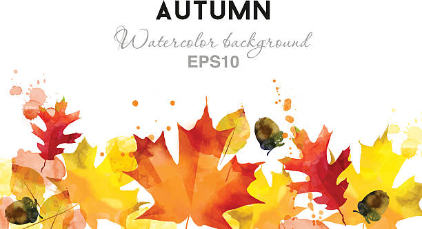 watercolor vector autumn background - başlık tasarım öğesi illüstrasyonlar stock illustrations
