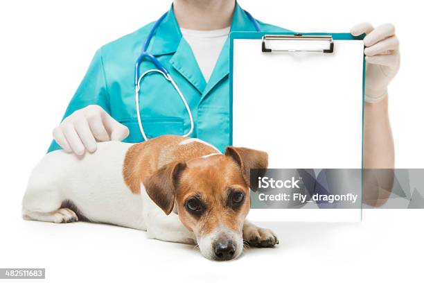 Vet And Dog With Banner Stock Photo - Download Image Now - Animal, Animal Hospital, Assistance