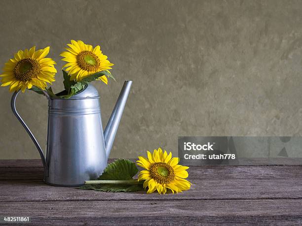 Klassische Stilleben Mit Schönen Sonnenblumen Bouquet Stockfoto und mehr Bilder von Sonnenblume