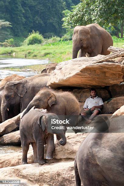 Man Sits Under Rock Watching Elephants Stock Photo - Download Image Now - 2015, Activity, Adult
