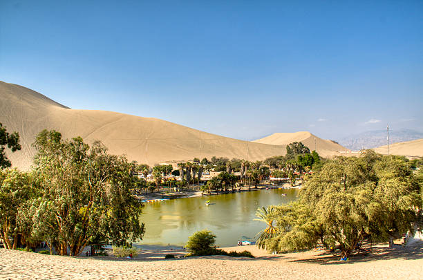 istock Oasis in Huacachina 482512247