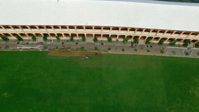 New Grass at long building