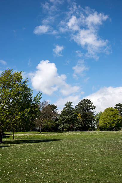 istock Green park outdoor with blue sky and clouds 482517082
