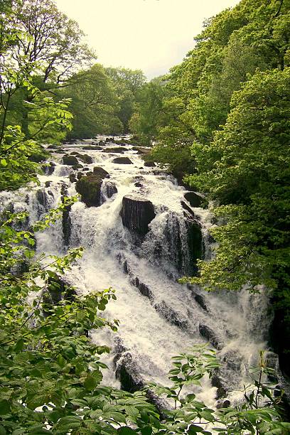 istock Beautiful Swallow Falls, Betws-y-Coed 482517208