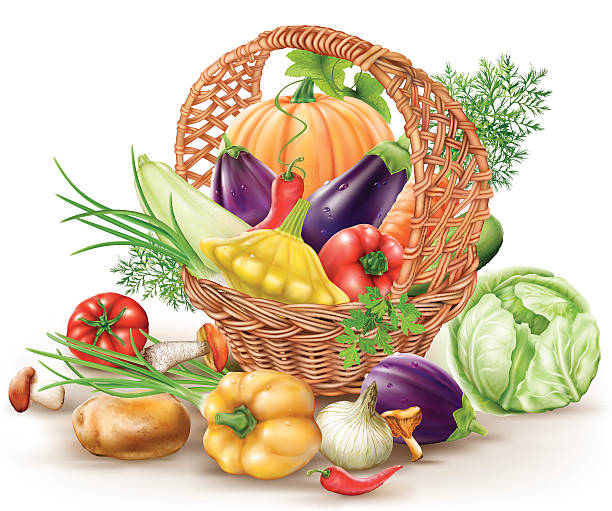 Basket with vegetables Different vegetables in brown wicker basket. vector illustration white cabbage stock illustrations