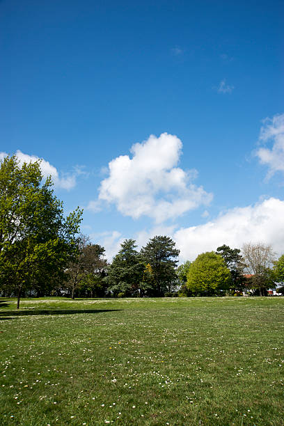 istock Green  outdoor park with blue sky and clouds 482518106