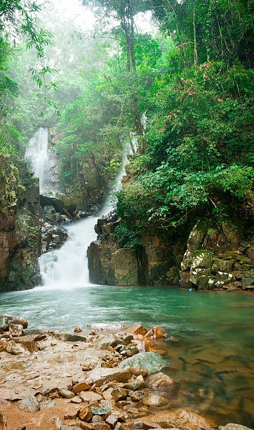 istock waterfall in national park , Chanthaburi , thailand 482518937
