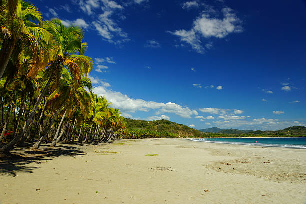 spiaggia da sogno in costa rica - penisola di nicoya foto e immagini stock