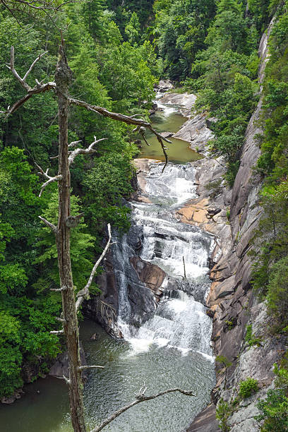 istock Tallulah Gorge Waterfalls in Georgia 482519694
