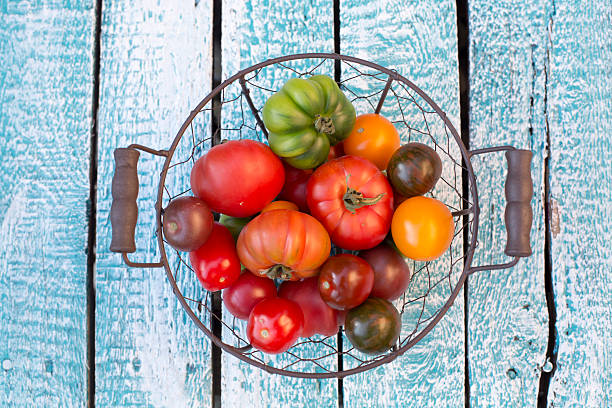 istock Heirloom tomatoes in basket 482519896