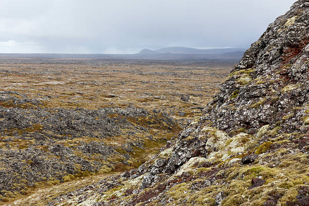 istock Volcanic field seen from a small volcano. 482520545