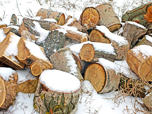 istock Pile of fire wood. 482524999