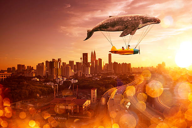 i belive i can fly i belive i can fly whale tale stock pictures, royalty-free photos & images