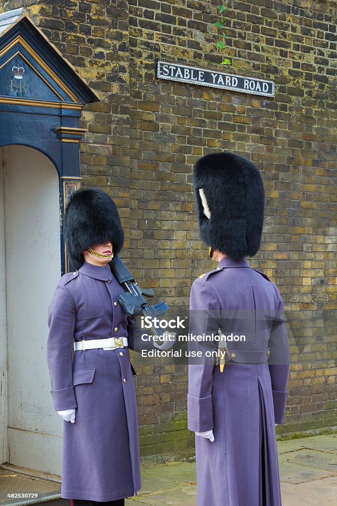 Horse Guards Inspection London, UK - 24th March 2014: Horse Guard sentry being inspected at a sentry box in London Adult Stock Photo
