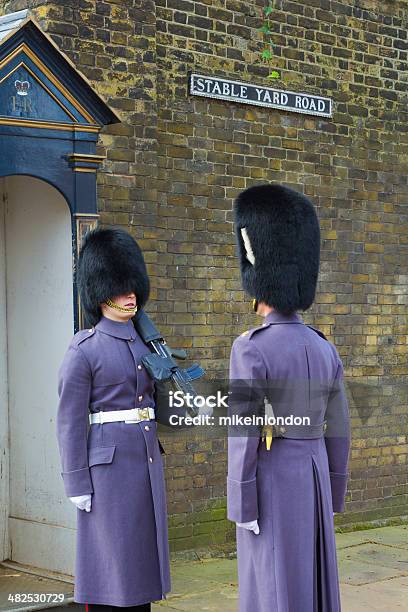 Horse Guards Inspection Stock Photo - Download Image Now - Adult, Armed Forces, Bearskin Hat