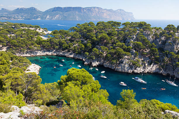 istock Calanques of Port Pin in Cassis 482531461