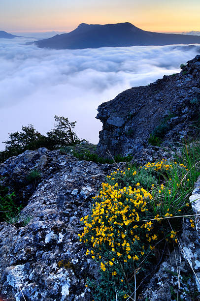 산 풍경, 록스 및 클라우드 - spring mountain demergi flower 뉴스 사진 이미지