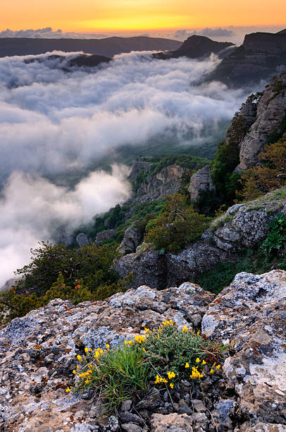 górski krajobraz z kamieni i chmury - spring mountain demergi flower zdjęcia i obrazy z banku zdjęć