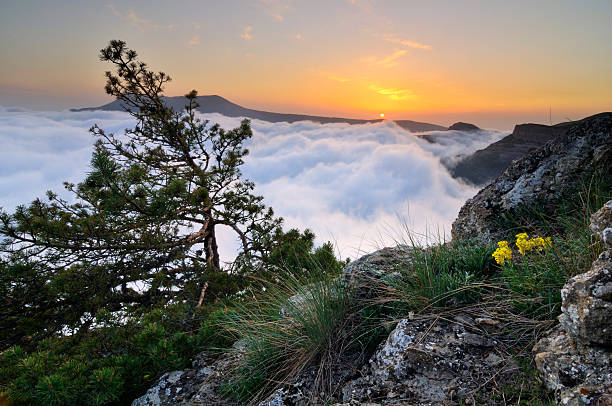 산 풍경, 록스 및 클라우드 - spring mountain demergi flower 뉴스 사진 이미지