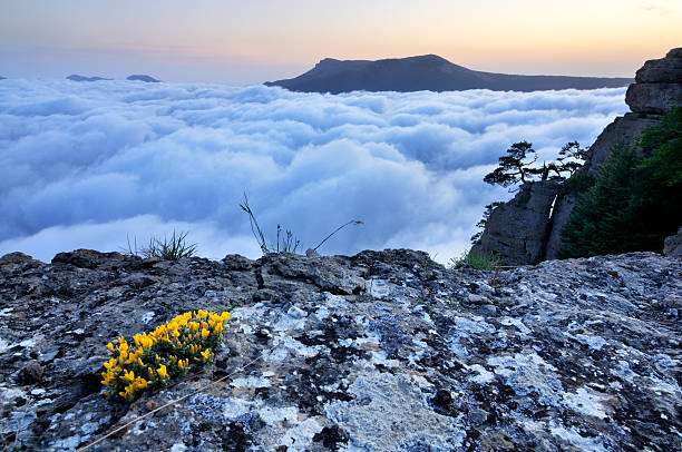горный пейзаж со льдом и облака - spring mountain demergi flower стоковые фото и изображения