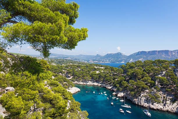 istock Calanques of Port Pin in Cassis 482532129