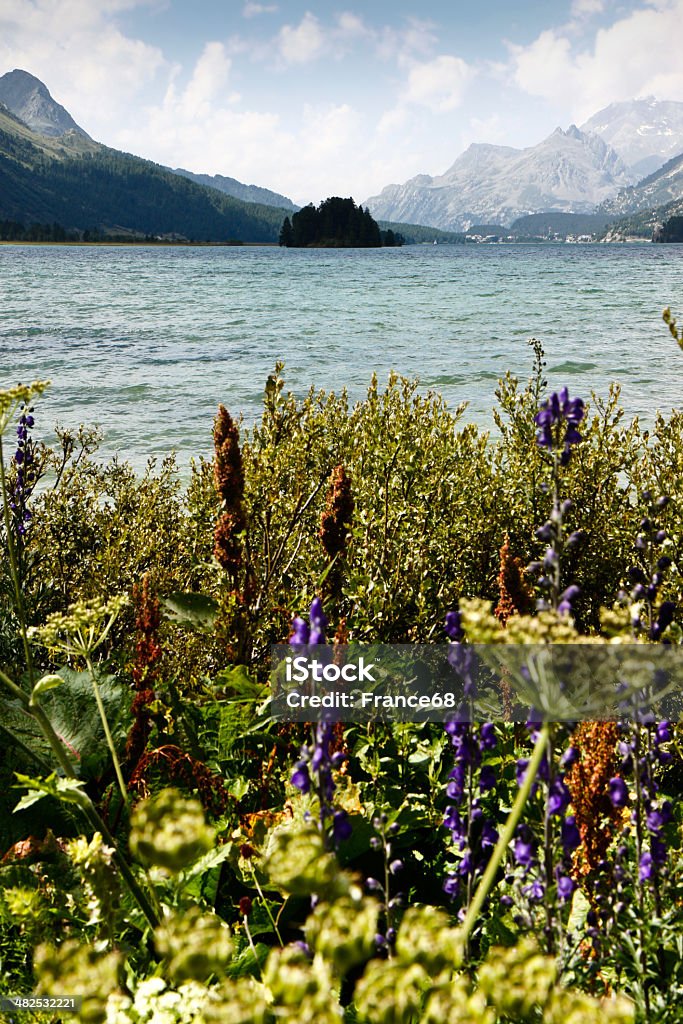 Walking around Sils lake (Switzerland) Series of images taken along the way around the lake Sils (about 10 miles) - (August)	 Engadine Stock Photo