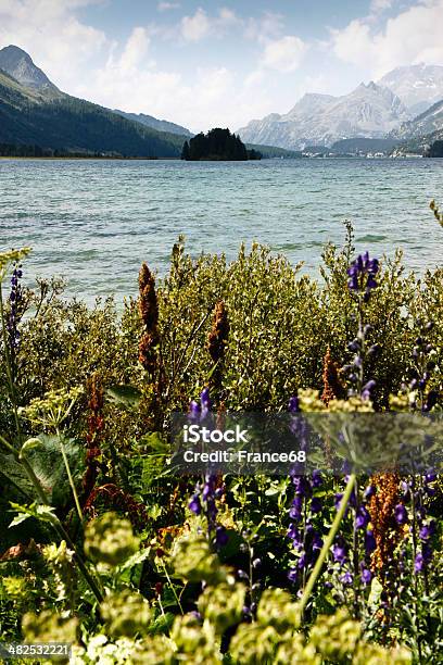 Walking Around Sils Lake Stock Photo - Download Image Now - Engadine, Aspirations, Beauty In Nature