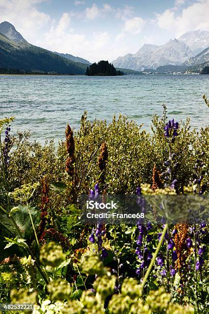 Foto de Caminhada Ao Redor Do Lago Silser e mais fotos de stock de Engadine - Engadine, Alpes de Engadine, Alpes europeus